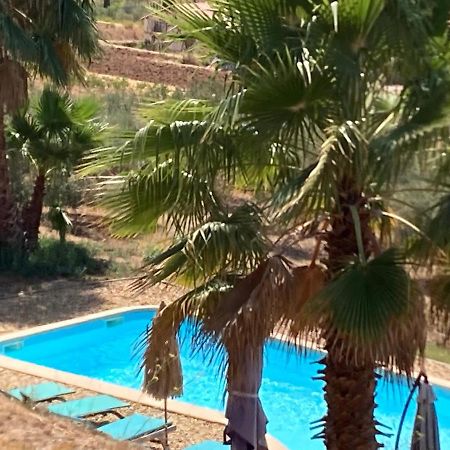Appartement neuf Rez de jardin 45 m2 vue mer et vignes 10 mn des plages Le Beausset Buitenkant foto