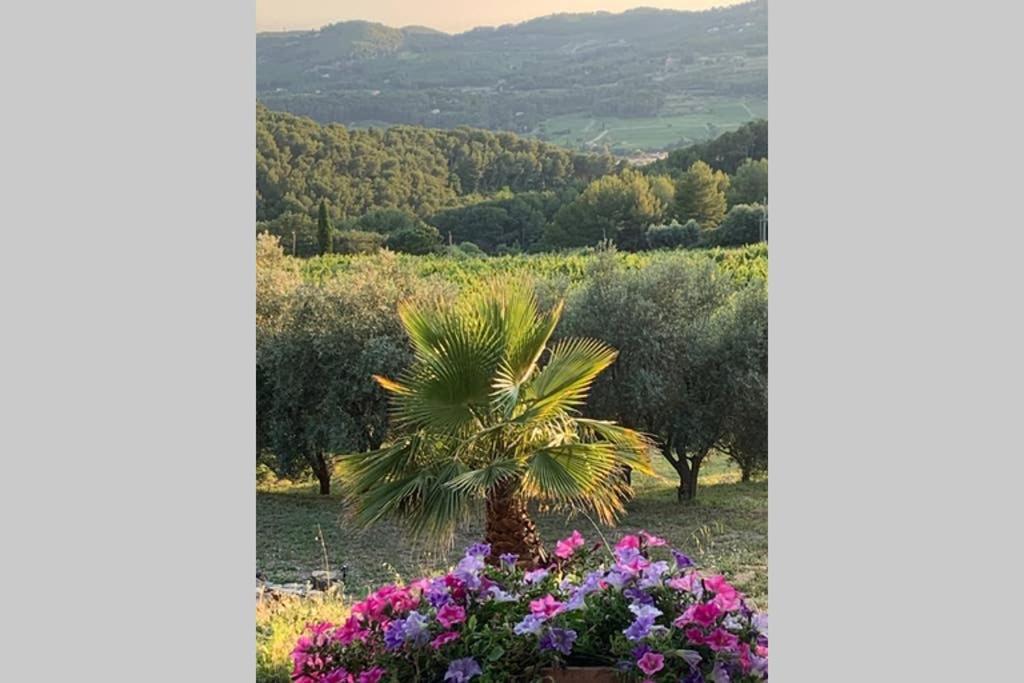 Appartement neuf Rez de jardin 45 m2 vue mer et vignes 10 mn des plages Le Beausset Buitenkant foto